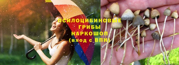тгк Богородицк