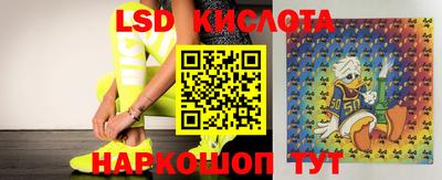 гашик Баксан
