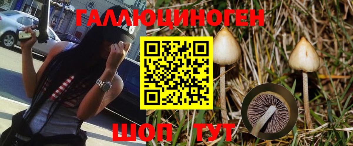 Галлюциногенные грибы Magic Shrooms Великий Устюг