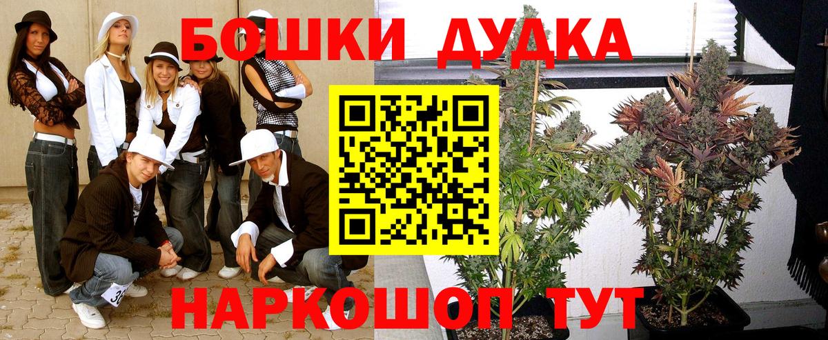 Конопля планчик Великий Устюг